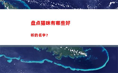 盘点猫咪有哪些好听的名字？