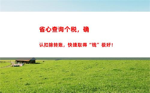 一键查询对方个税记录！隐私保护，快捷方便！