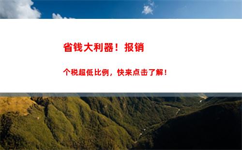 个人所得税zhang(个人所得税占工资比例的多少)