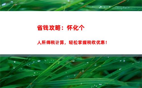 享受工资涨幅，赚钱也可以少交个人所得税！- 计算个人所得税税率实例说明