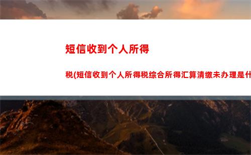 经营所得个人所得税论文(个人所得税经营所得b表申报)