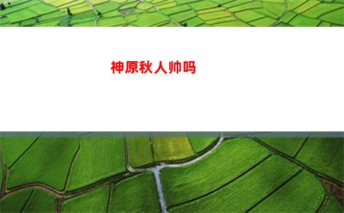 原神状态栏(原神状态栏详解)