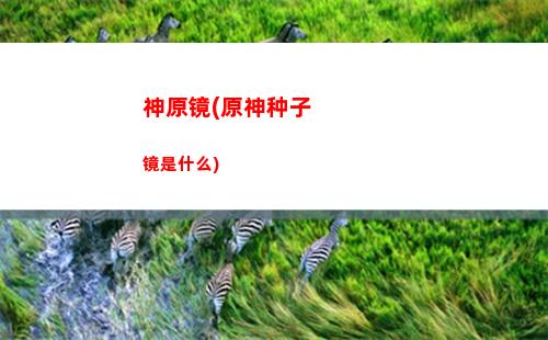 玲珑原神(原神虚拟地玲珑)