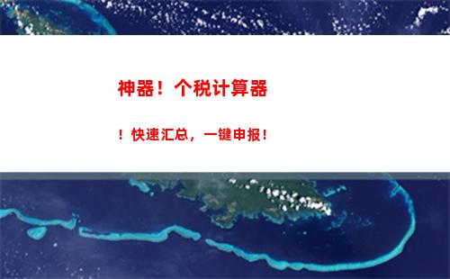 个人所得税优劣(个人所得税优劣分析)