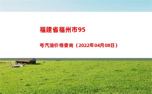 福建省福州市95号汽油价格查询（2022年04月08日）