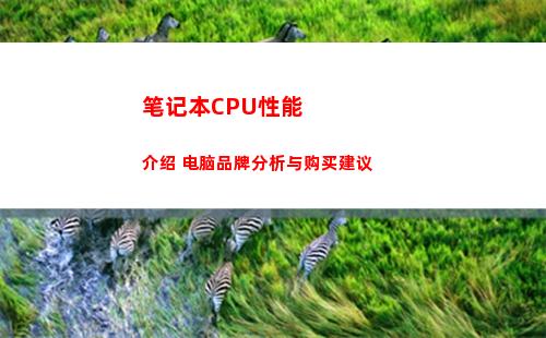 笔记本CPU性能介绍 电脑品牌分析与购买建议(笔记本电脑cpu排行榜)