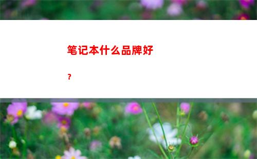 笔记本什么品牌好？(笔记本电脑品牌大全)