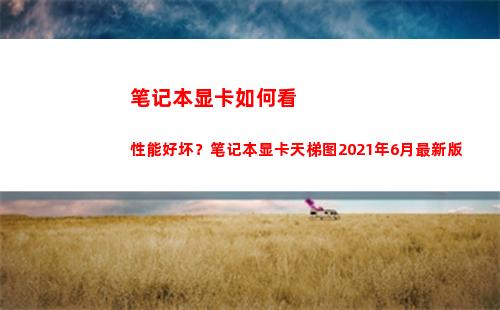 笔记本显卡如何看性能好坏？笔记本显卡天梯图2021年6月最新版(笔记本显卡如何看好坏)