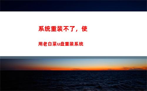 系统重装不了，使用老白菜u盘重装系统(系统重装软件)
