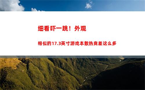 细看吓一跳！外观相似的17.3英寸游戏本散热竟差这么多