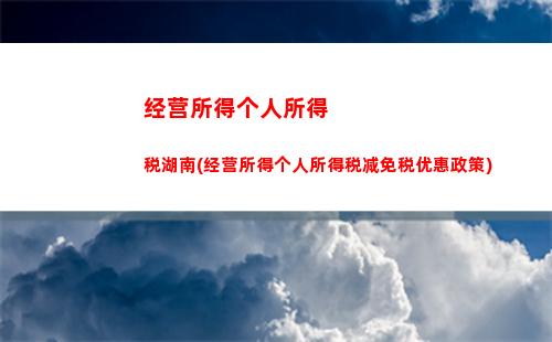 个人所得税页面(个人所得税页面怎么退出)