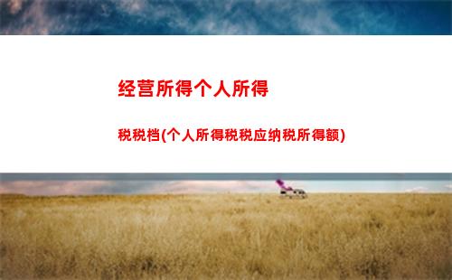 金税三期个人所得税下载(金税三期个人所得税扣缴系统怎么操作)