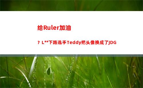 给Ruler加油？LSB下路选手Teddy把头像换成了JDG