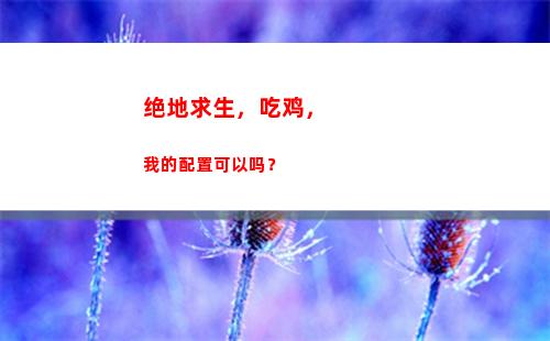 绝地求生，吃鸡，我的配置可以吗？(绝地求生吃鸡灵敏度最稳压枪)