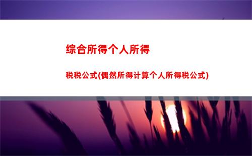 个人所得税社保计算器(发放工资并代缴个人所得税、社保)