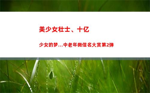 美少女壮士、十亿少女的梦…中老年微信名大赏第2弹(祖国的美少女壮士的微博)