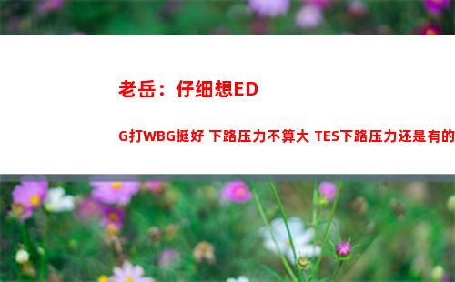 老岳：仔细想EDG打WBG挺好 下路压力不算大 TES下路压力还是有的