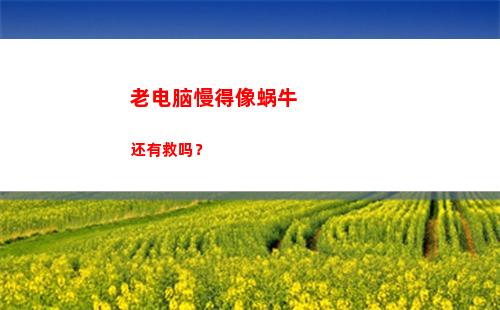 老电脑慢得像蜗牛还有救吗？(电脑慢得像蜗牛 怎么办)