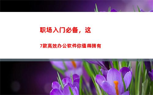 职场入门必备，这7款高效办公软件你值得拥有(职场必备的十种能力)