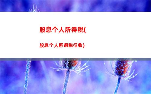 关于个人所得税偶然所得税(个人所得税偶然所得税是什么意思)
