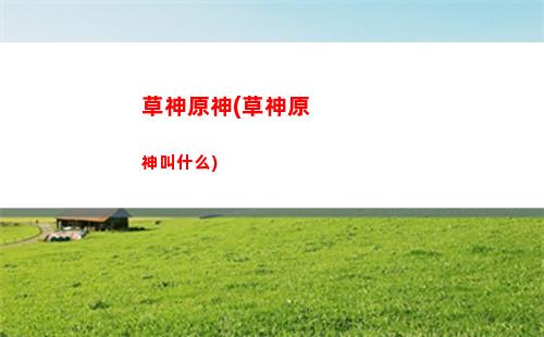 分析原神(分析原神产品运营)