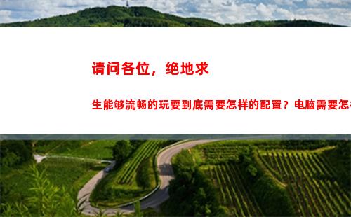 请问各位，绝地求生能够流畅的玩耍到底需要怎样的配置？电脑需要怎样的设置，调试？