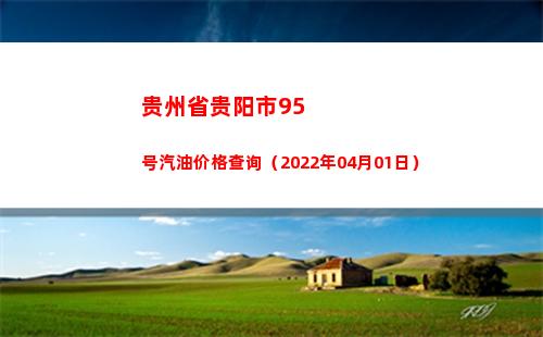 贵州省贵阳市95号汽油价格查询（2022年04月01日）