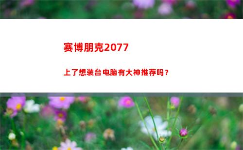 赛博朋克2077上了想装台电脑有大神推荐吗？(赛博朋克2077黑客流加点)