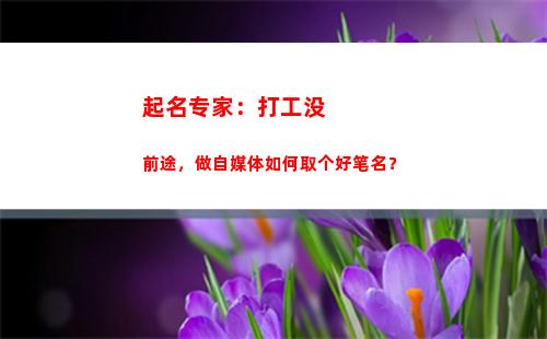 起名专家：打工没前途，做自媒体如何取个好笔名？(打工群起名)