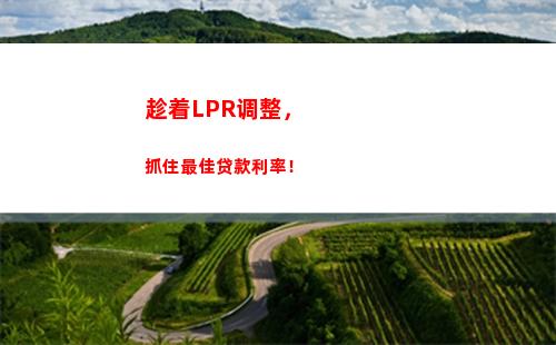 享受灵活度，轻松应对市场变化——lpr贷款每月利率调整！