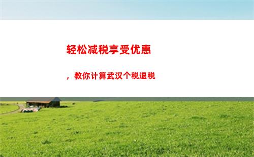 个人所得税逾期罚款(个人所得税逾期罚款怎么交)