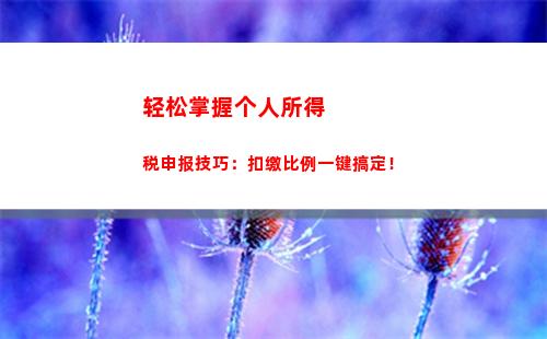转股税率大揭密！点击了解转股个人所得税比例！