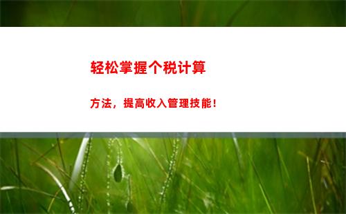 轻松掌握：个税计算电脑版，让你轻松算税！