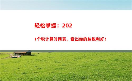 精准计算个税，省力有余-个人所得税软件操作指南！