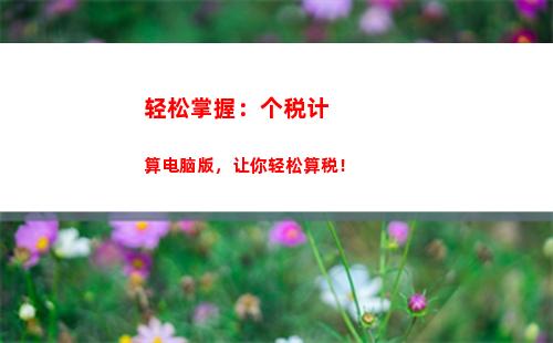 个人所得税概念(个人所得税概念及特点)