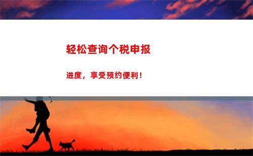 一键查询个税，轻松掌握财务情况！