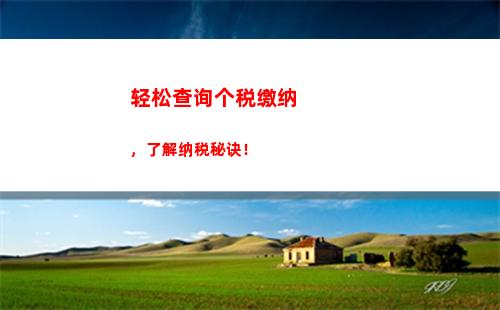 一键查询个税，轻松掌握收支情况！