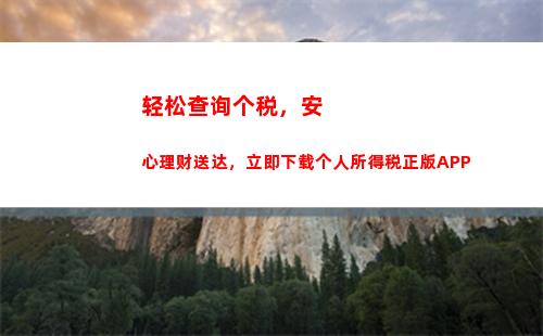 想知道你的税款去向？个人所得税查询功能曝光，赶快点击了解！