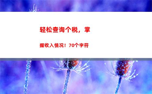 轻松查询！厂内个人所得税缴纳攻略一键获取