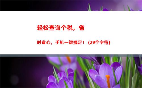 掌握个税情况，异地也能轻松查询！
