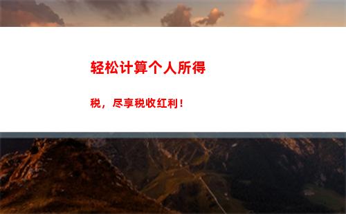 个人所得税总和所得的(个人所得税综合所得年度自行申报)