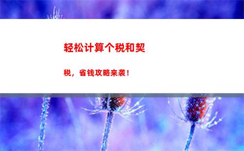 个人所得税经理(个人所得税扣多少)