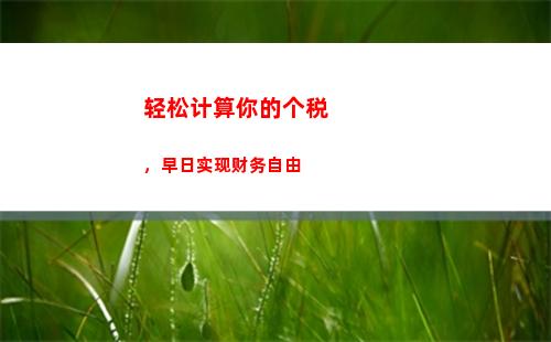 个人所得税有感(个人所得税怎么查)
