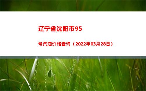 辽宁省沈阳市95号汽油价格查询（2022年03月28日）