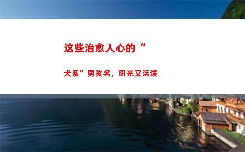 这些治愈人心的“犬系”男孩名，阳光又活泼(菜市场治愈人心)