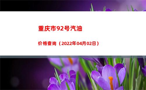 重庆市92号汽油价格查询（2022年04月02日）