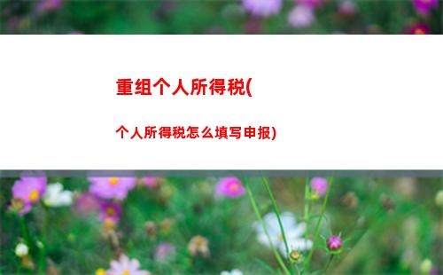 立即查看！个税延迟计算，晚交会错失多少优惠？