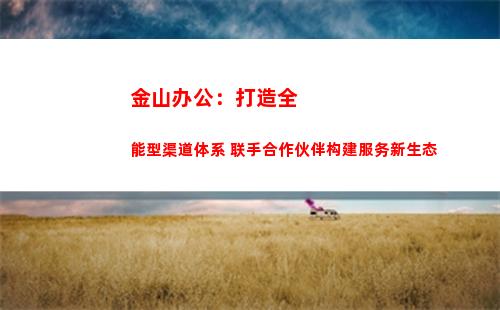 金山办公：打造全能型渠道体系 联手合作伙伴构建服务新生态(金山办公市值)