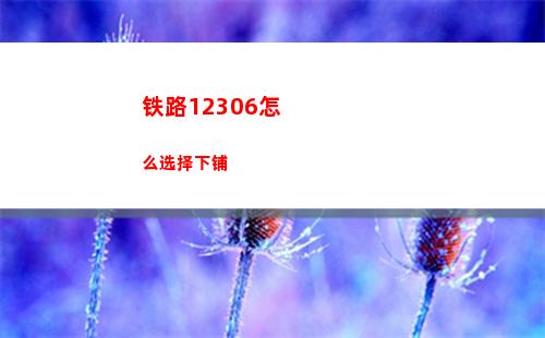 铁路12306怎么选择下铺
