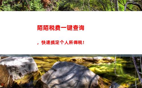 快速查询个税缴费  一键了解税率、免征额、免税项目！